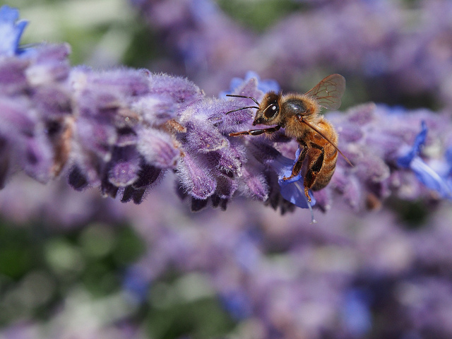 Foto por Alberto López.
