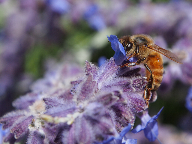 Foto por Alberto López (©).
